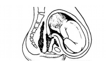 <b>试管助孕中女性承受更多：关键环节伤害对比解析</b>