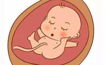 冷冻胚胎价格，冷冻胚胎会不会影响胚胎质量