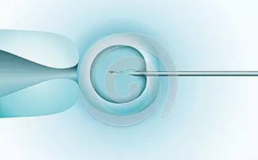 试管婴儿移植后出血是否正常？