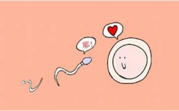 2025年试管婴儿医保报销政策解析与费用预估