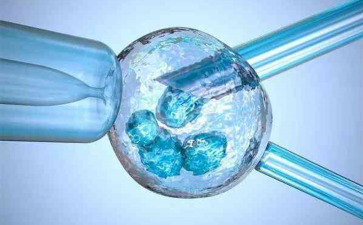 <b>清代皇族铁帽子王逸闻录：十二家族秘史与传承</b>